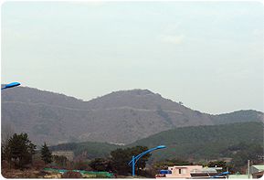 순금산 산기슭의 모습