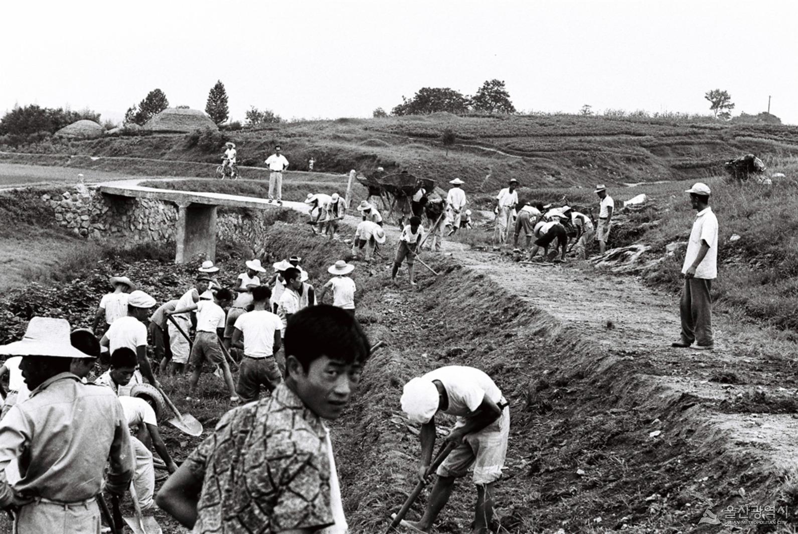 연암제방공사 1960년도.JPG