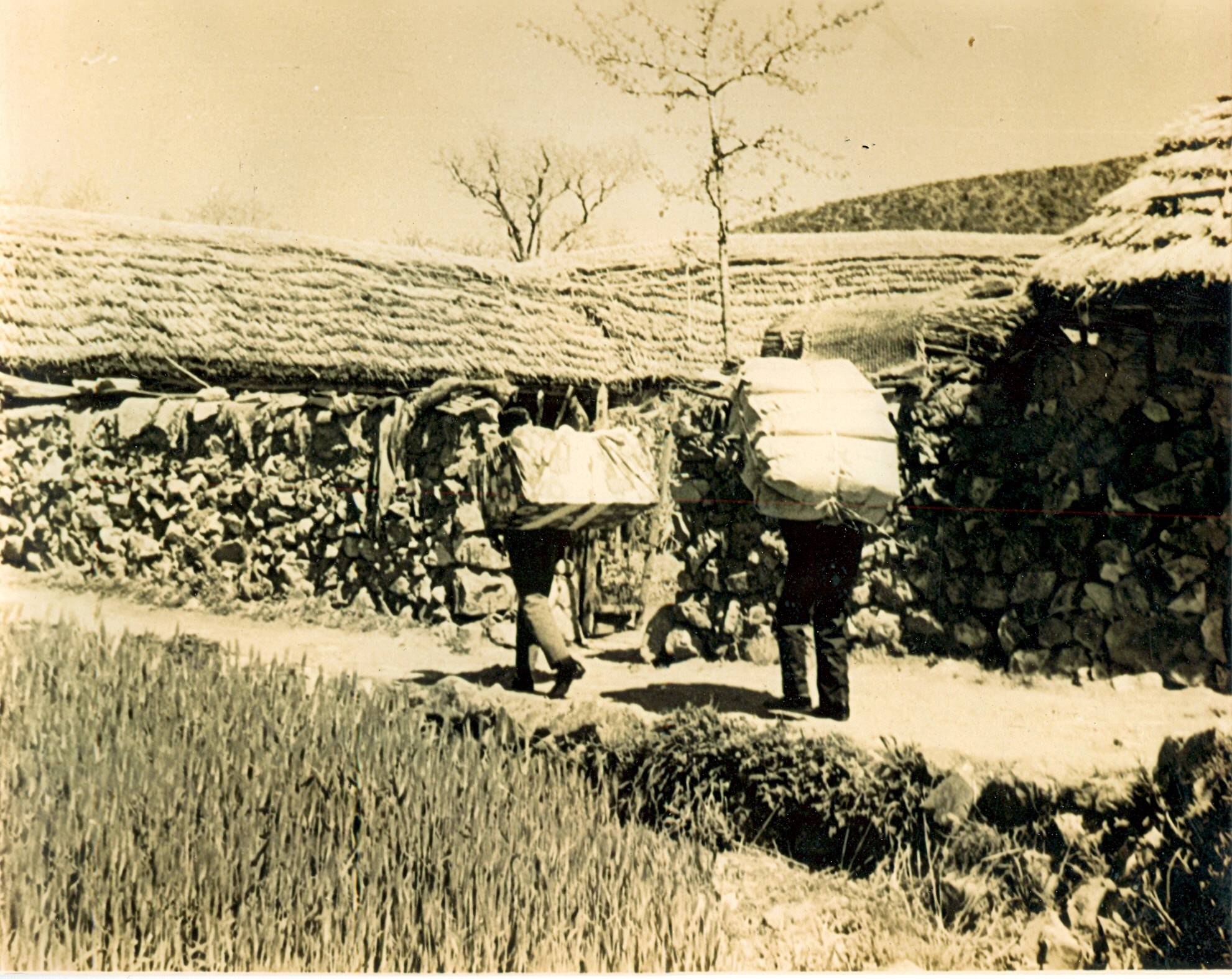 1960년대 결혼함을 지고 가는 모습 -사진제공-박소성.jpg