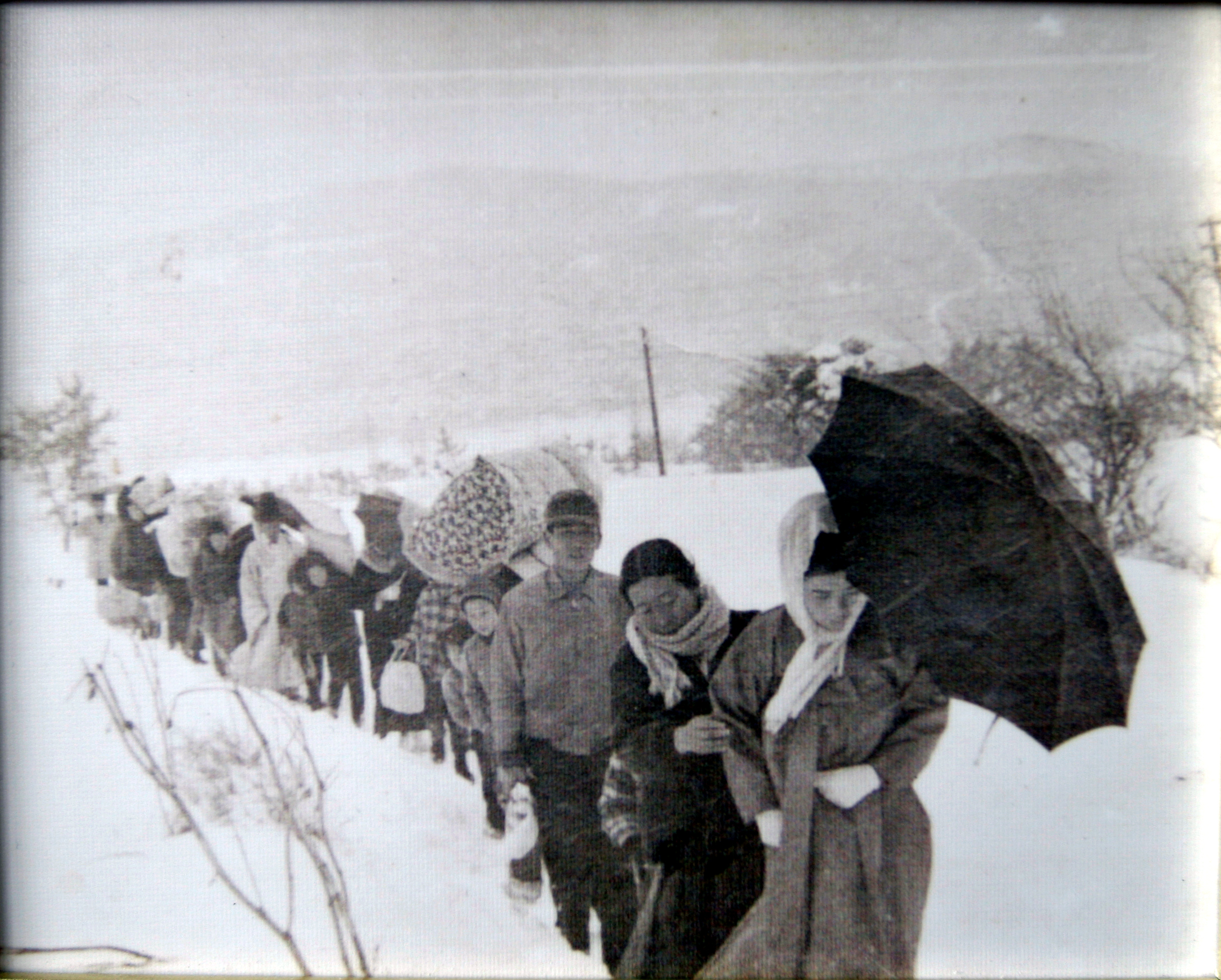 1971년 혼례 장면.jpg