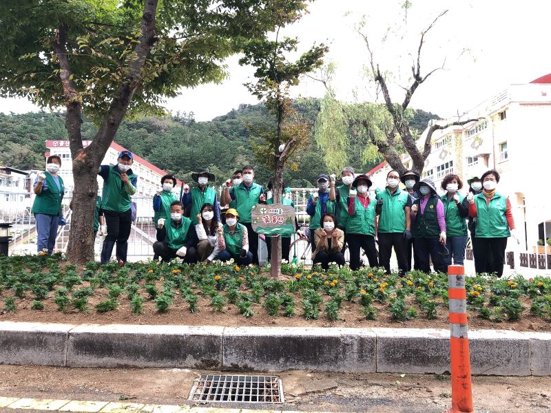 양정동 새마을협의회.부녀회 가을 초화류 식재 활동